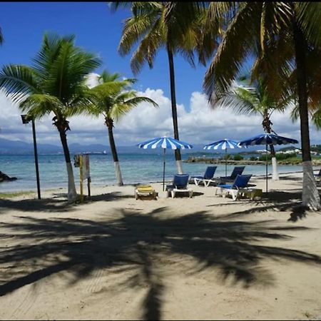 Grand Bleu-Superbe T2 Vue Mer & Acces Plage 哥西尔 外观 照片